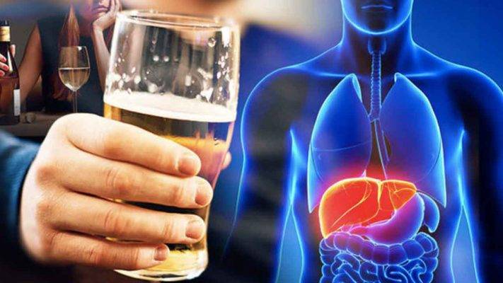 Alcohol in the Human Body An Odyssey